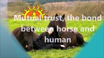 The Incredible Bond Between Human And Horse