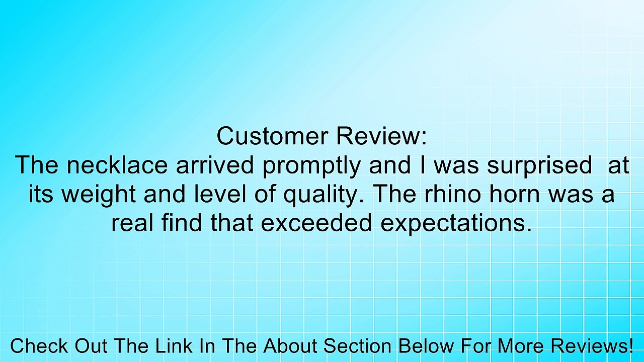 U2U Large Rhinoceros Horn Solid Titanium Steel Men's Pendant Necklace with Chains Review