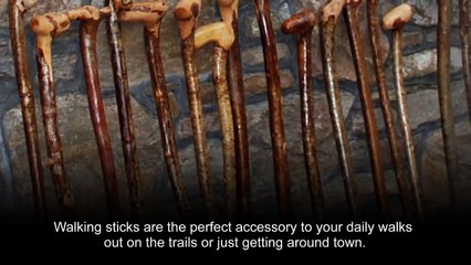 Irish Walking Sticks - Premium Quality Walking Sticks & Canes