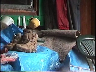 Bella Coola Natural History: Black Bear