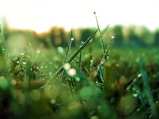 ramko 2013  prajla sar prajala dikena po ker pejna sar pejna