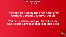 Avicii - The Days Karaoke Backing Track with Lyrics Piano Instrumental (Original key) Cover