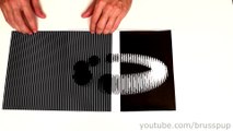 Blowing mind Animated Optical Illusions!