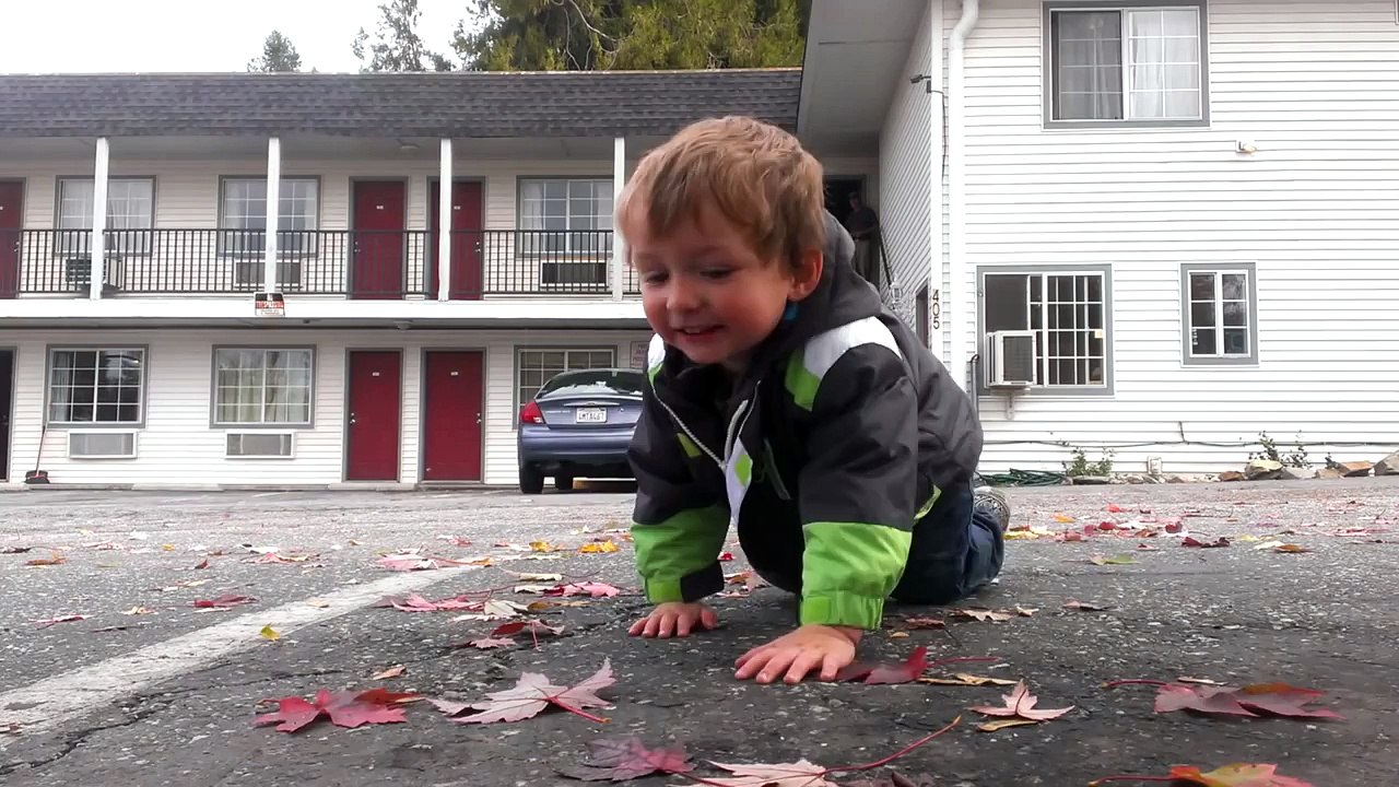 This 2-Year-Old's Dubstep Dance Is Really Jaw-Dropping!