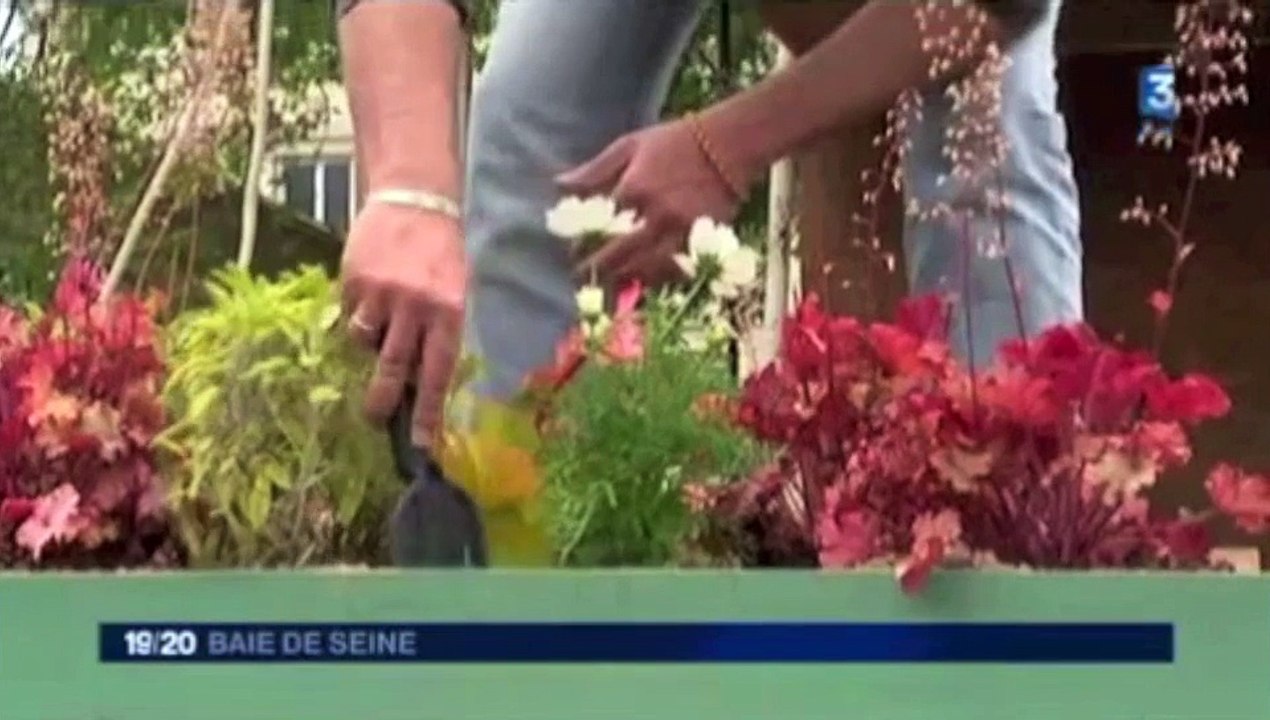 Jardins Autos FR3 Le Havre