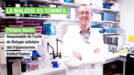 Institut Pasteur - La maladie du sommeil - Philippe Bastin