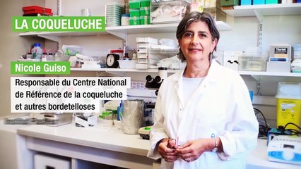 Institut Pasteur - La coqueluche - Nicole Guiso