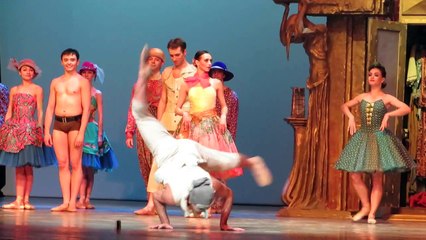 Гастроли НГАТОиБ во Владивостоке. 09.12.14. Пульчинелла. Поклоны.