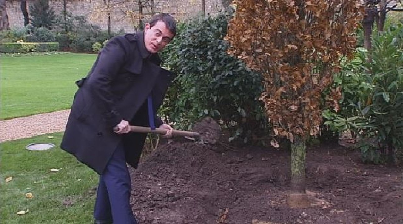 Valls plante un arbre qui va "prendre de la hauteur" à Matignon