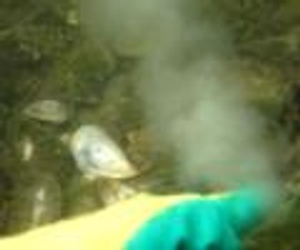 126 bin liralık ceza