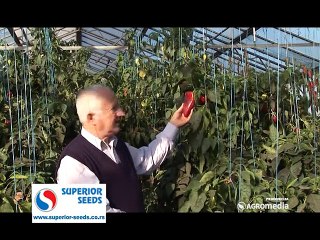 SVET POLJOPRIVREDE_377_06.12.2014.