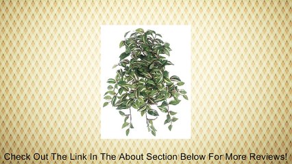 Artificial 22.5" Green/Cream Wandering Jew Hanging Bush Review