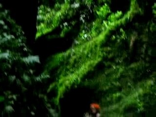 Gorges de la Falaise (Martinique)