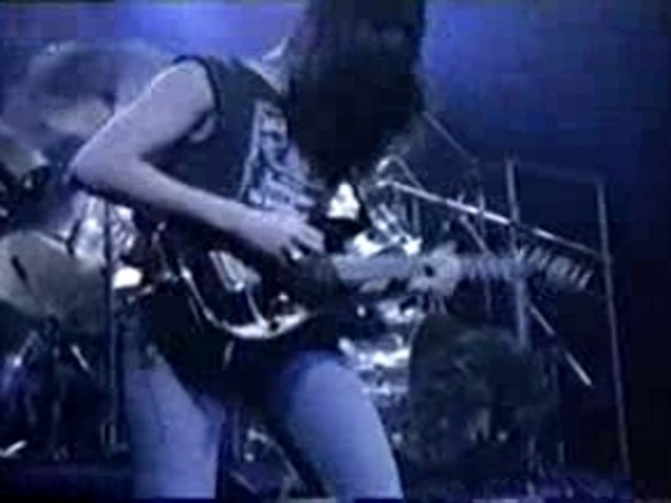 Coroner-Masked jackal