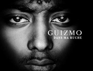 Guizmo Dans Ma Ruche Telecharger Album Complet 2014
