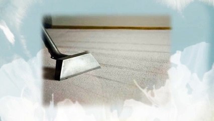 Mighty Green Organic Carpet & Tile Cleaners (805) 200-4684