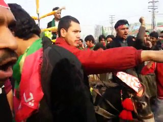 Donkey trapped in GoNawazGo campaign on liberty chowk
