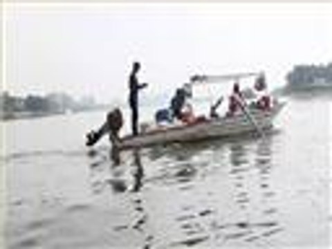 نفوق الأسماك بسبب تلوث مياه نهر النيل