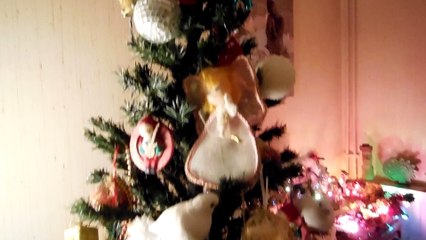 ♥ Joyeux Noël mes ami(es)