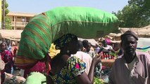شمال الكاميرون يتأثر اقتصاديا من جراء القتال ضد جماعة بوكو حرام