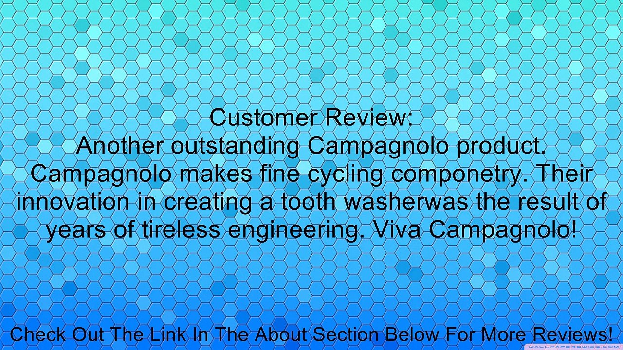 Campagnolo Br-Re021 Brake Mounting Washer, Tooth Washer Review