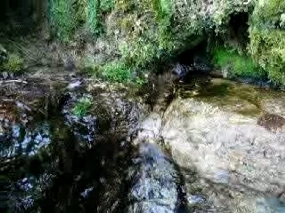 Font-bleix1