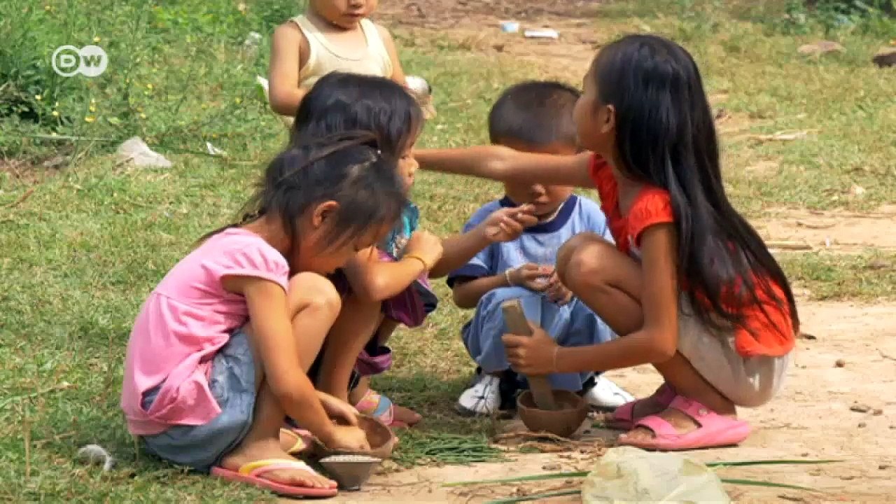 Laos - Saving Elephants | Global 3000
