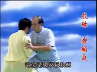 太極拳推手をテレビにて解説されている鄭顯気老師
