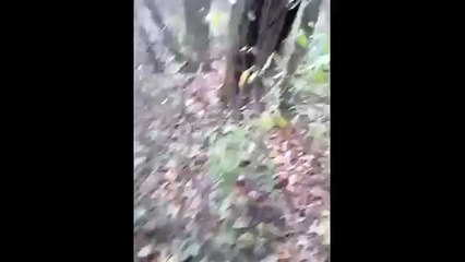 Tournure inattendue  à la chasse