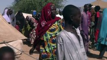 Nigerians flee to Niger to escape Boko Haram attacks
