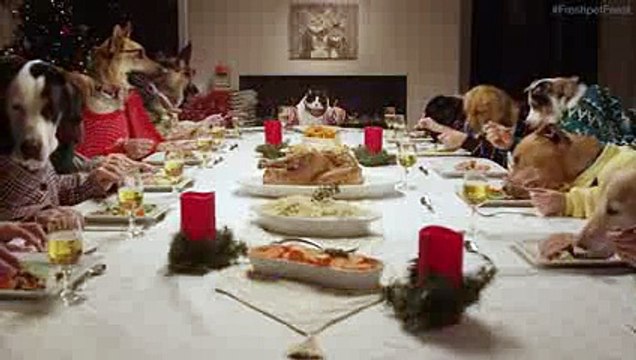 13 chiens et 1 chat font un repas de Noël