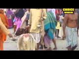 Ganga Sagar Yatra | Ganga Sagar Ebam Char Dham Yatra | Gangasagar Darshan | Choice