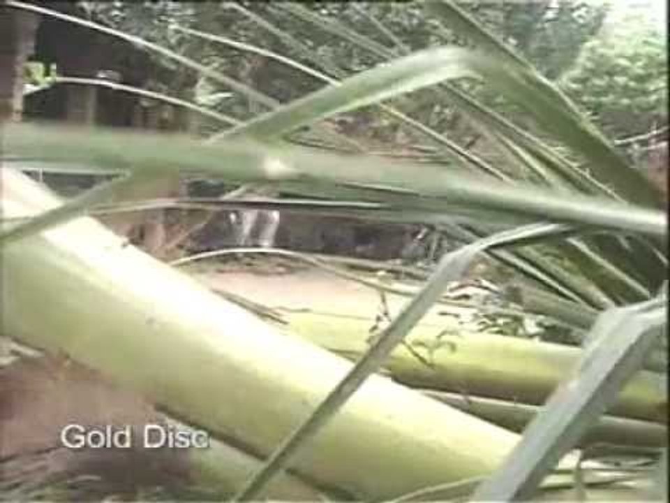 Latest Bangla Geet | Piritir Pichkari | New Bengali Folk Song | Gold Disc