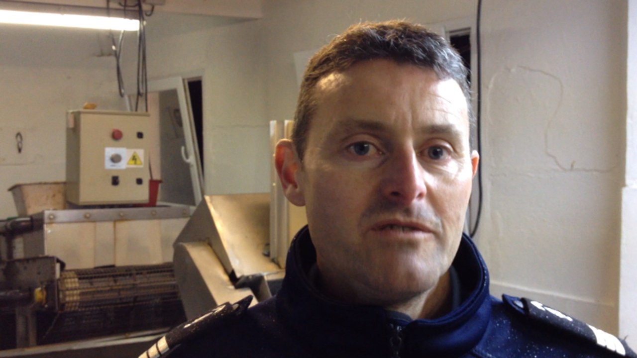 Les anges gardiens des parcs à huîtres