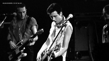 Spiky Snail Takes Name from Punk Icon Joe Stummer