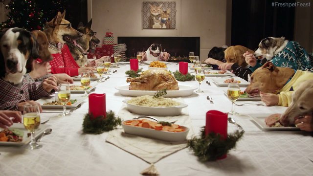 Repas de Noël entre chiens et chats