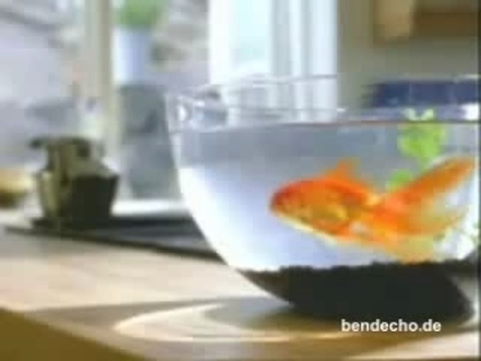 Fremdsprachen