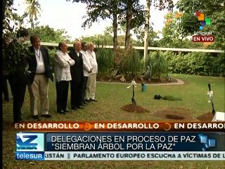 En Cuba, partes del conflicto colombiano plantan árbol por la paz