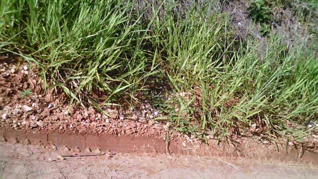 MTB, Trilha Leite na Pista, Sasselos Team, 40 km, Tremembé, Taubaté, estradas rurais e urbanas, lama e asfalto, Desafio de Velocidade, (9)