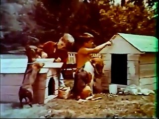 Vintage Ken L Ration with two Boys one with a big dog & the other with a small dog