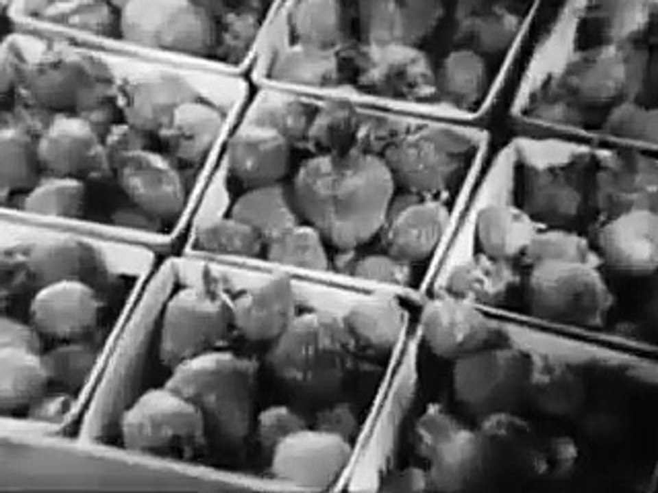 VINTAGE EARLY 60s GENERAL FOODS TOASTEMS COMMERCIAL