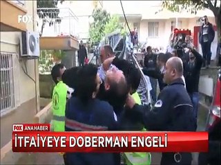 İtfaiye'ye Doberman engeli Meraklı vatandaşa niye çektin dayağı