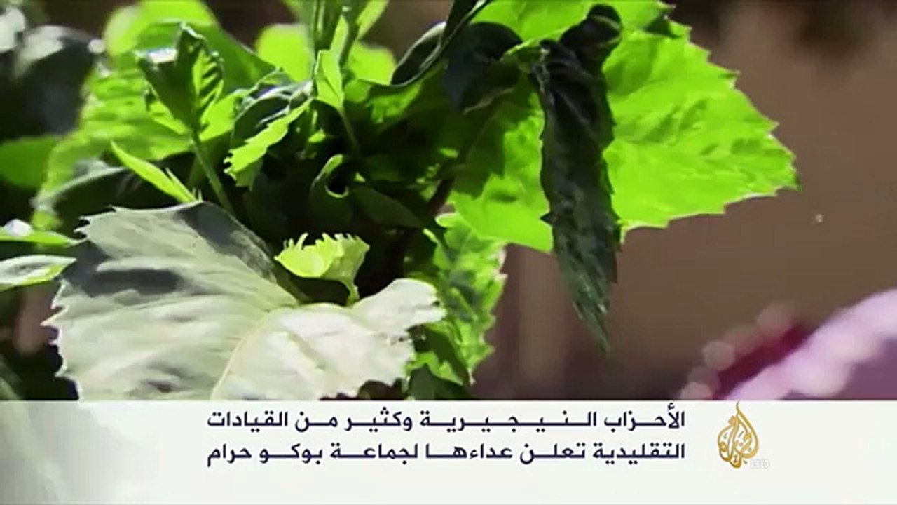 أمير منطقة كانو بنيجيريا يدعو السكان لمحاربة بوكو حرام