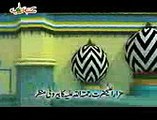 Manqabat - Mere Raza Pyare Raza - Shahzada e Ilyas Qadri Haji Bilal Attari