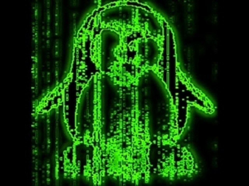 mon "penguin" préféré