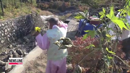 Documentary on life-long love of elderly couple tops box office