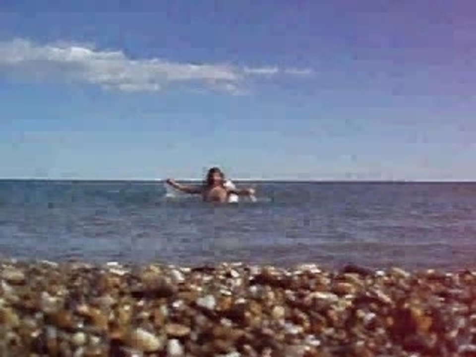 Ange de mer