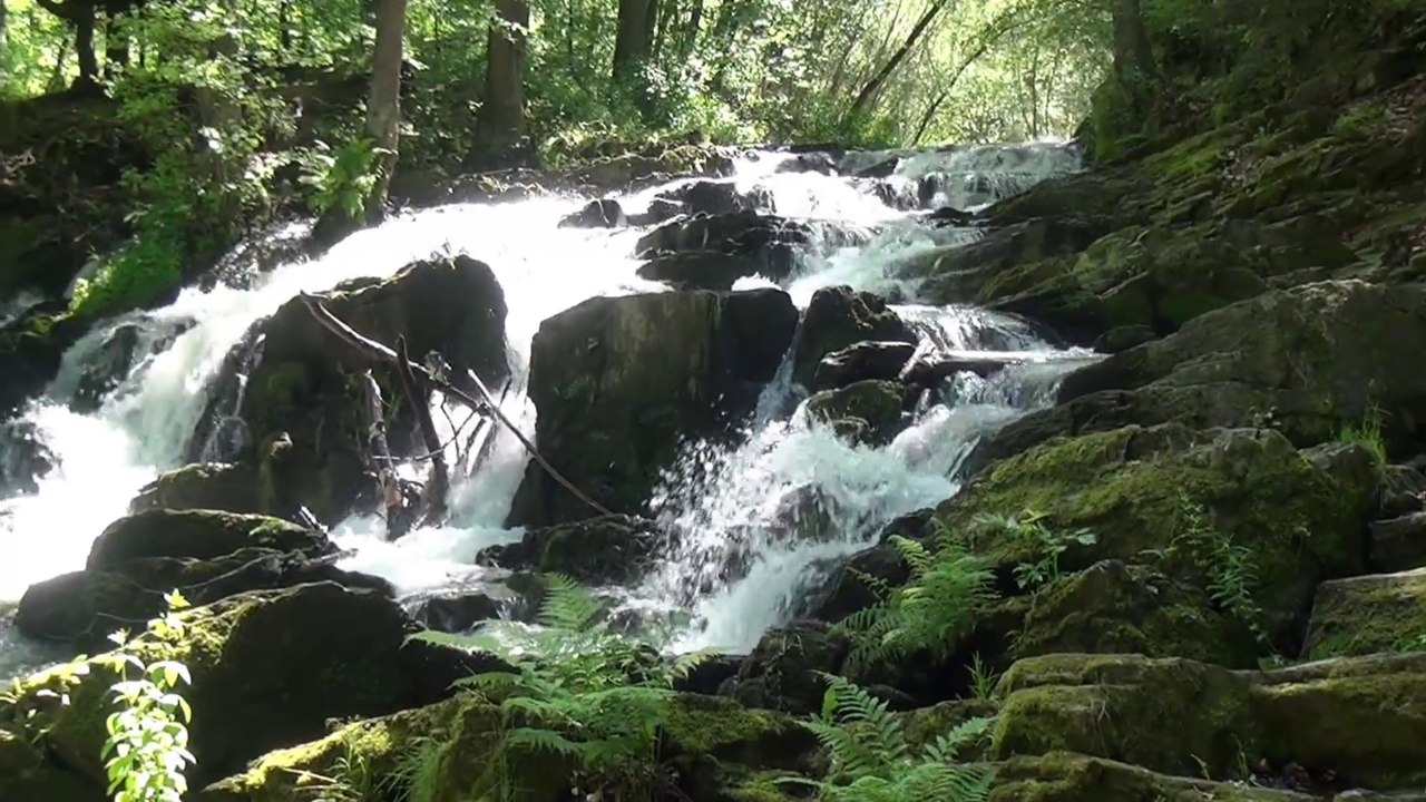 Selketal * Selketalstieg zw. Alexisbad & Mägdesprung