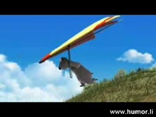 Backkom - Hang Gliding