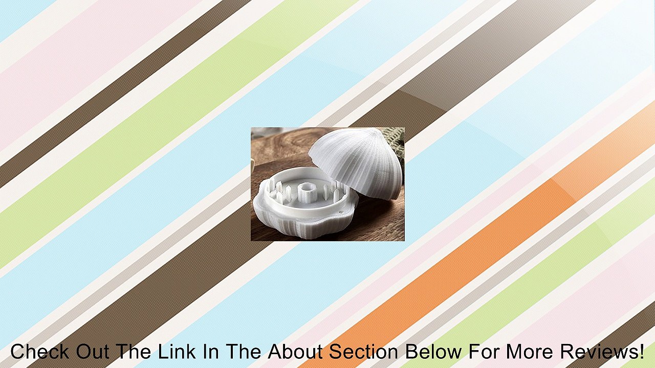 Koopeh Garlic Chopper Review